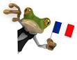 Frog in french