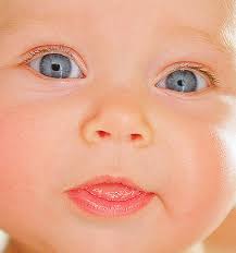 Nursing home receives visit from alpaca