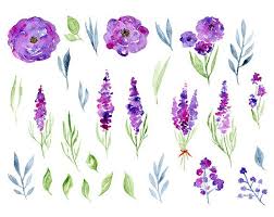 1024x1024 seamless pattern with watercolor drawing violet flowers stock. Watercolor Floral Clipart 29 Purple Violet Flowers Aquarelle Digital Clip Art Watercolour Rose Flower Boho Lavender Free Commercial Use Png In 2021 Violet Flower Floral Watercolor Watercolor Flowers