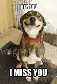 Hey You I Miss You Missing You Memes I Miss You Meme Funny Saturday Memes