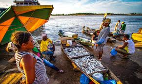 32,200 likes · 86 talking about this. Manaus Brazil Quick And Cheap Across The Meeting Of Waters San Diego Reader