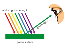 In such a type of reflection rays of light that hit an irregular object with a rough surface, are reflected back and scatter in all directions. Reflection Of Light Visible Light Siyavula
