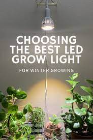 It should be close to the spectra used by plants. Choosing The Best Led Grow Light For Winter Growing Gardening Know How S Blog