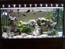Karena banyak orang yang menganggap aquarium sebuah hiasan rumah yang mampu menjadikan suasana. Hiasan Aquarium Unik Dan Keren Sekarang Ini