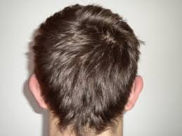 Shiny bald head with a beard. Hairstyle Back Of Head Hairstyle 817