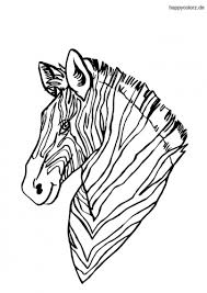 Zebra Malvorlage Kostenlos Zebras Ausmalbilder