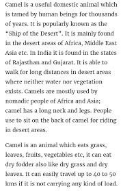 Camel milk, which is beneficial for health, fulfils people's need for high quality food. Creative Writing On Camel For Class 3 Students Brainly In