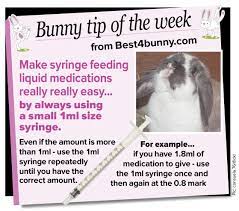 Bunny Tip Of The Week Make Syringe Feeding Easy Bunny Care Bunny Mom Bunny Cages