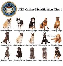 Bacco F Atf Canine Identification Chart 1972 Shooting Target