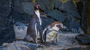 Ally hardesty fucking no hesitations seeing her, it was