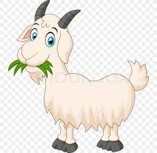 ✓ free for commercial use ✓ high quality images. Goat Royalty Free Cartoon Png 734x800px Goat Animal Figure Camel Like Mammal Cartoon Cattle Like Mammal