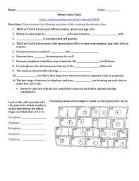 Mitosis Coloring Homework