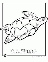Here you can find domestic and wild animals, cats with kittens, dogs with puppies, birds and fish, horses of course, there are coloring pages of domestic animals and midland forest inhabitants. Endangered Animals Coloring Pages Animals From North America The Rainforest The Ocean Woo Jr Kids Activities