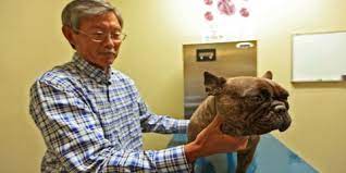 The honolulu pet clinic boarding guarantee. Honolulu Pet Clinic