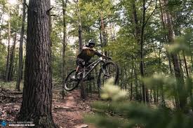 G1 phase, in the cellular cycle. Editors Choice Nicolai G1 29 Just Send It Enduro Mountainbike Magazine