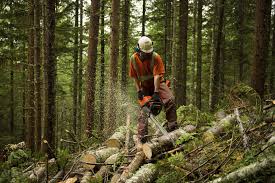 Terrain Industries | FORESTRY NEWS - WOODWEEK.COM