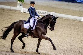 Many people have seen olympic or grand prix level dressage on television. Sweden To Defend Overall Lead As Fei Dressage Nations Cup Moves On To Aachen