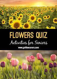 It's like the trivia that plays before the movie starts at the theater, but waaaaaaay longer. Flowers Quiz