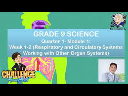 Drug scenario in the philippines · health 9 second quarter module (pivot). Grade 9 Science Quarter 1 Module 1 Week 1 2 Respiratory And Circulatory Systems And Other Organs Youtube