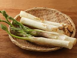 ウドの栄養と効能 解決野菜 野菜を知る 食べる 頼る
