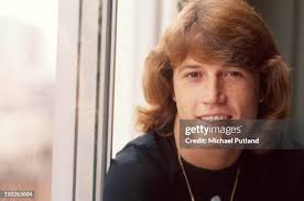 700 fotos e imágenes de alta resolución de Andy Gibb