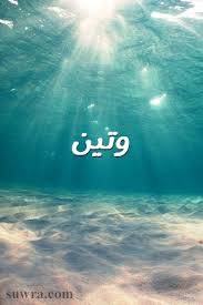 صور اسم وتين صورة