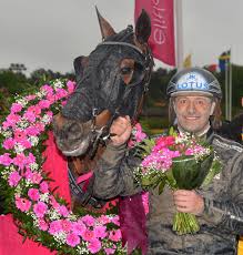 Norskfödde cokstile stod som segrare efter ett dramatiskt elitlopp 2020. Elitloppet 2013 Wikipedia