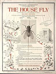 However, in some situations, life in the city becomes too stressful sometimes, so many people prefer moving out to the countryside. List Of Common Household Pests Wikipedia