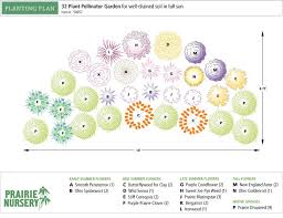32 Plant Pollinator Garden Prairie Nursery Rain Garden Landscaping Plants Pollinator Garden
