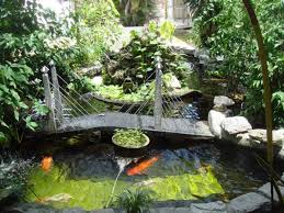 Tips To Caring The Koi Ponds Jardim Look