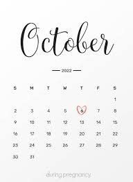 Due Date October 6 2022 During Pregnancy