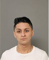 ᐅ Illinois Criminal Records 2009-2026