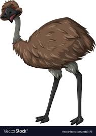 Emu Bird With Brown Feather Vector Image On Vectorstock Emu Bird Feather Vector Feather
