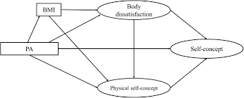 Frontiers Effect Of Physical Activity On Self Concept