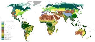 Do The Location And General Biodiversity Tropical Rain Forests And Boreal Forests Agree With What Would Predict According To The Latitudinal Gradient Pattern Quora