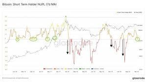 Bitcoin Hit 20k The Last Time This Fundamental Indicator Flashed It S Back