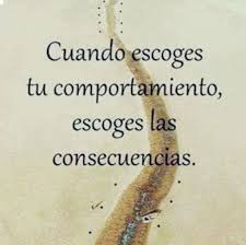 Pin En Frases
