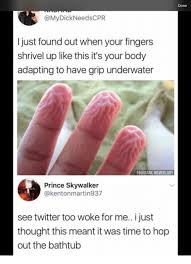 All the plants in the house shriveled up while we were away because jason forgot to water them for us. Done I Just Found Out When Your Fingers Shrivel Up Like This It S Your Body Adapting To Have Grip Underwater Fb Dank Memeology Prince Skywalker See Twitter Too Woke For Me I Just
