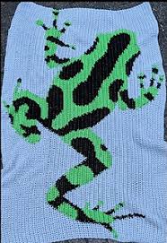 Maybe you would like to learn more about one of these? Ravelry Dart Frog Throw Pattern By Stacie Renda