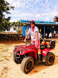 Tequila este fabricată din plante de agave albastre coapte care necesită cel puțin șase ani pentru a se maturiza, dar cele plantate în zonele de munte frecvent necesită mult mai mult timp pentru a ajunge la maturitate și pot dura până la 12 ani. Ce Nu Stiai Despre Tequilla Blogu Lu OtravÄƒ