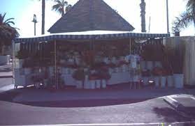 We did not find results for: Flowers Friends 1844 N El Camino Real San Clemente Ca 92672 Yp Com