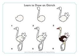 Learn To Draw Birds Learn To Draw Easy Animal Drawings Drawings