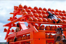 The Great Pumpkin Patch The Marquee