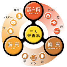 知ってるようで知らない三大栄養素 | Health Care Web