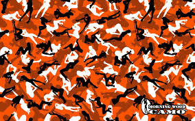 A desktop wallpaper is highly customizable, and you can give yours a personal touch by adding your images (including your photos from a camera) or download beautiful pictures from the internet. 90 Orange Camo