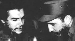 Cuban palm trees under Vancouver's Lions Gate