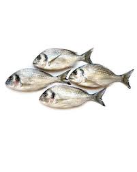 Pin By Nicole Brunner On Poissons Crustaces Fish Art Fish Drawings Fish