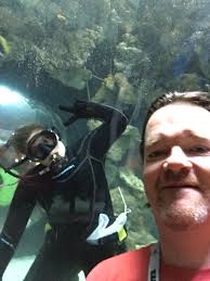 Dan Gillette (@MrDGillette)