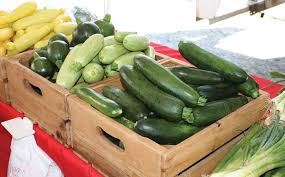 Before you eat them, the flowers need to be gently washed under cold water and pat dry. Zucchini Season Is Here Make The Most Of It Salisbury Post Salisbury Post