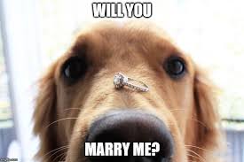 See more ideas about marry me meme, marry me, married. Will You Marry Me Dog Imgflip